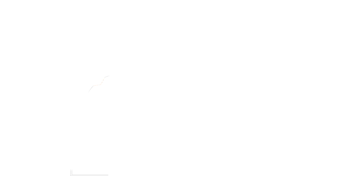 Diversity on Board