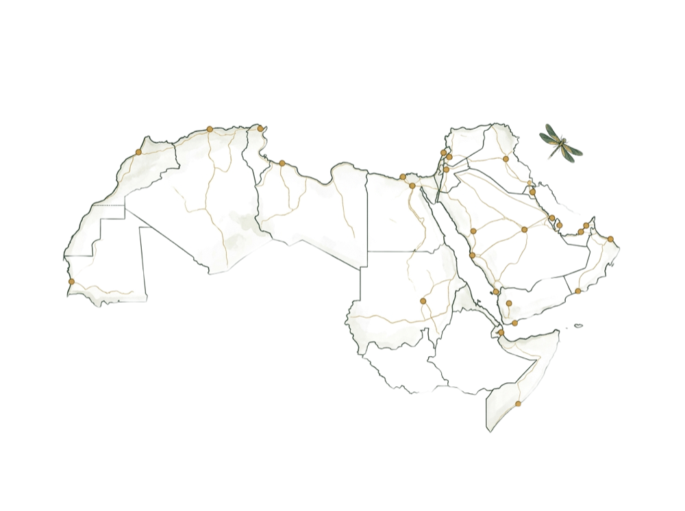 A map of the Middle East and North Africa with board-opportunity locations marked across the Gulf, the Levant and North Africa